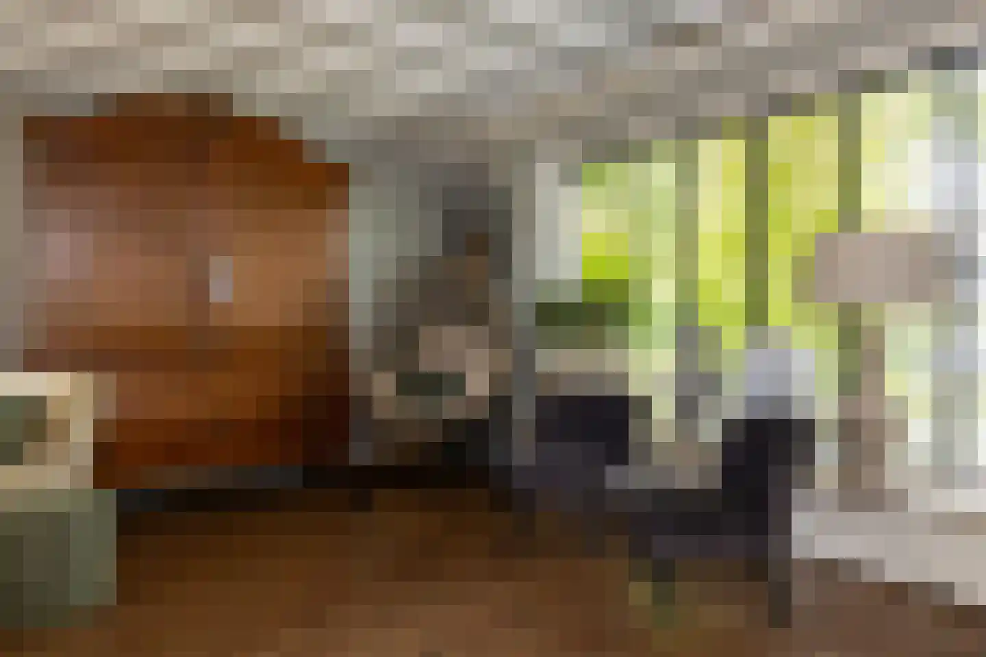 Nunspeterweg 100 Elspeet thumbnail 14