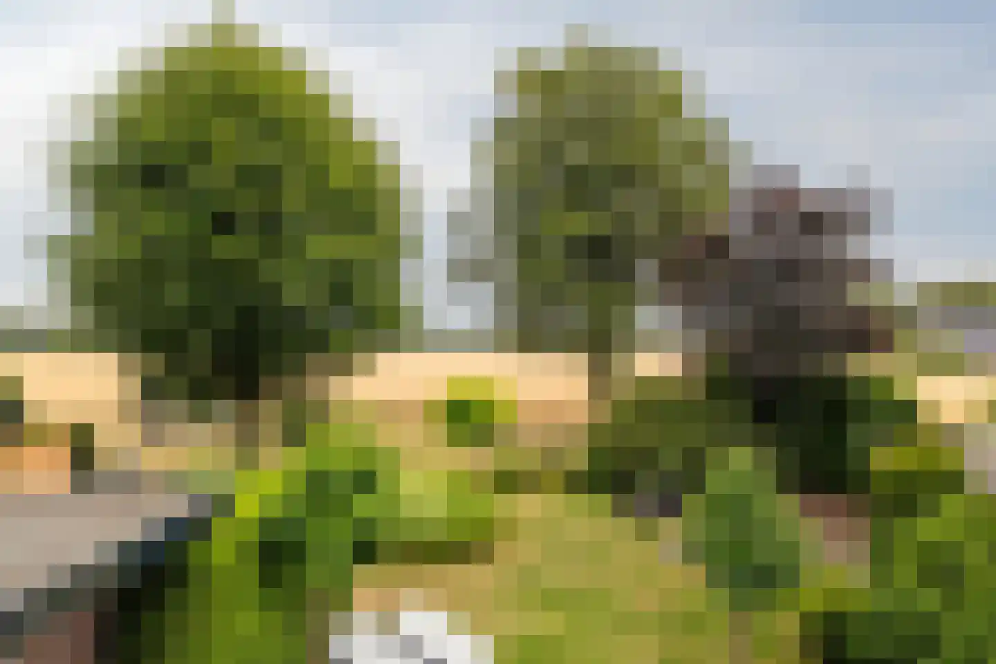 Nunspeterweg 100 Elspeet thumbnail 22