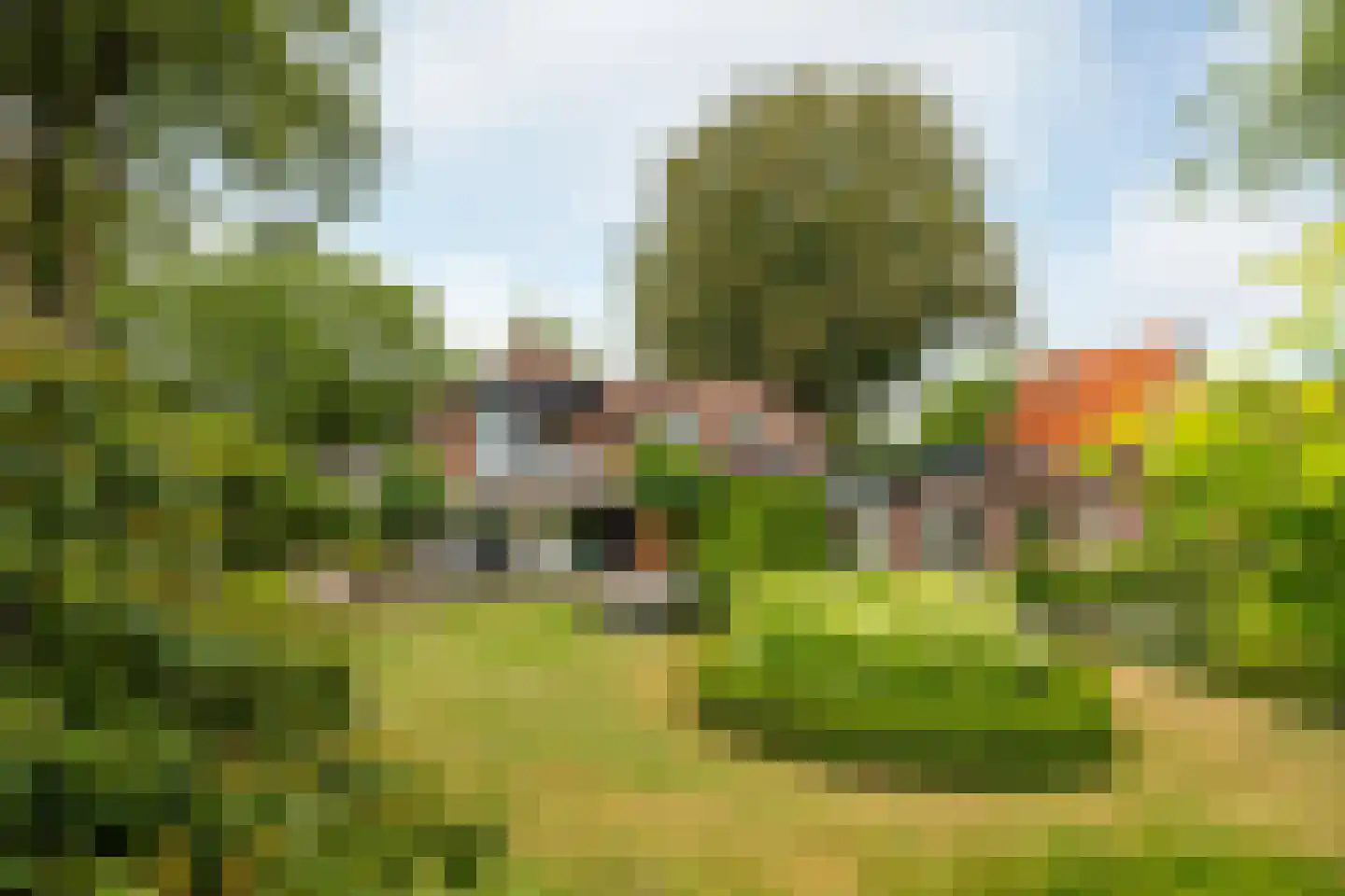 Nunspeterweg 100 Elspeet thumbnail 4