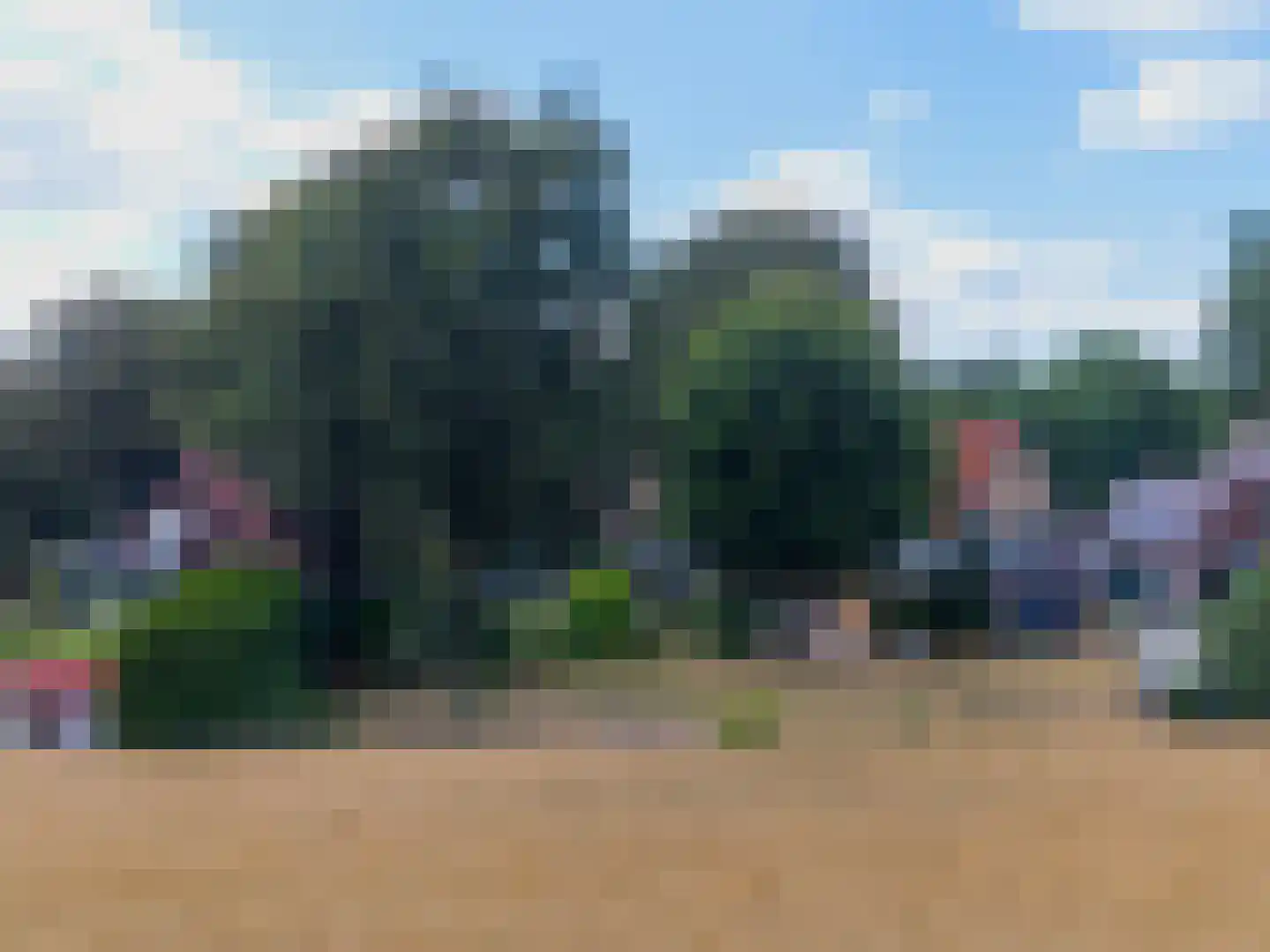 Nunspeterweg 100 Elspeet thumbnail 45