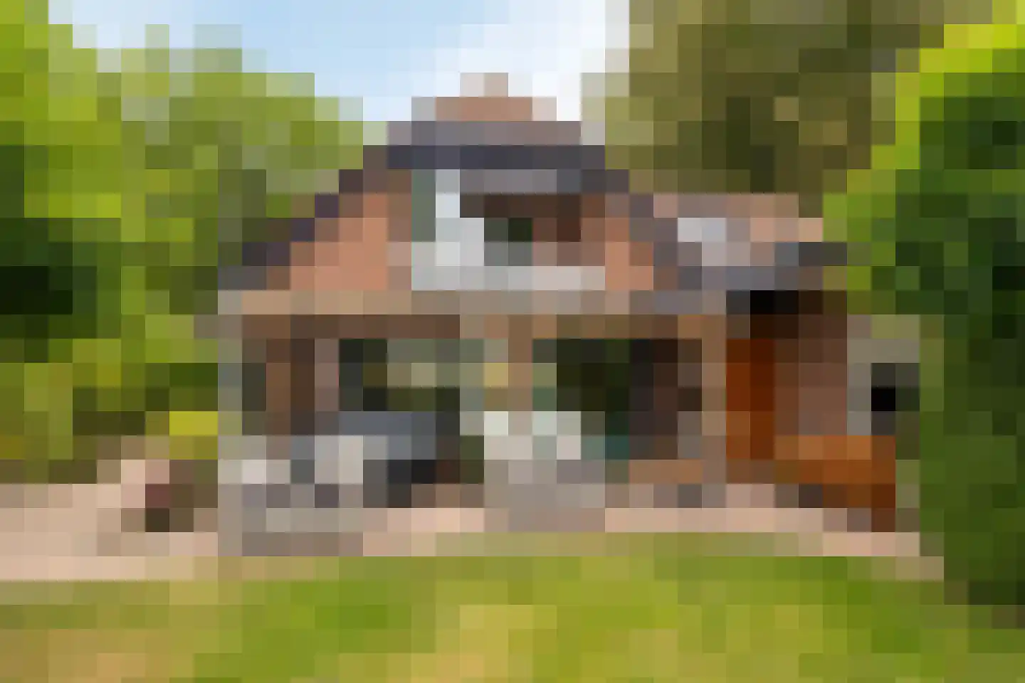 Nunspeterweg 100 Elspeet thumbnail 5