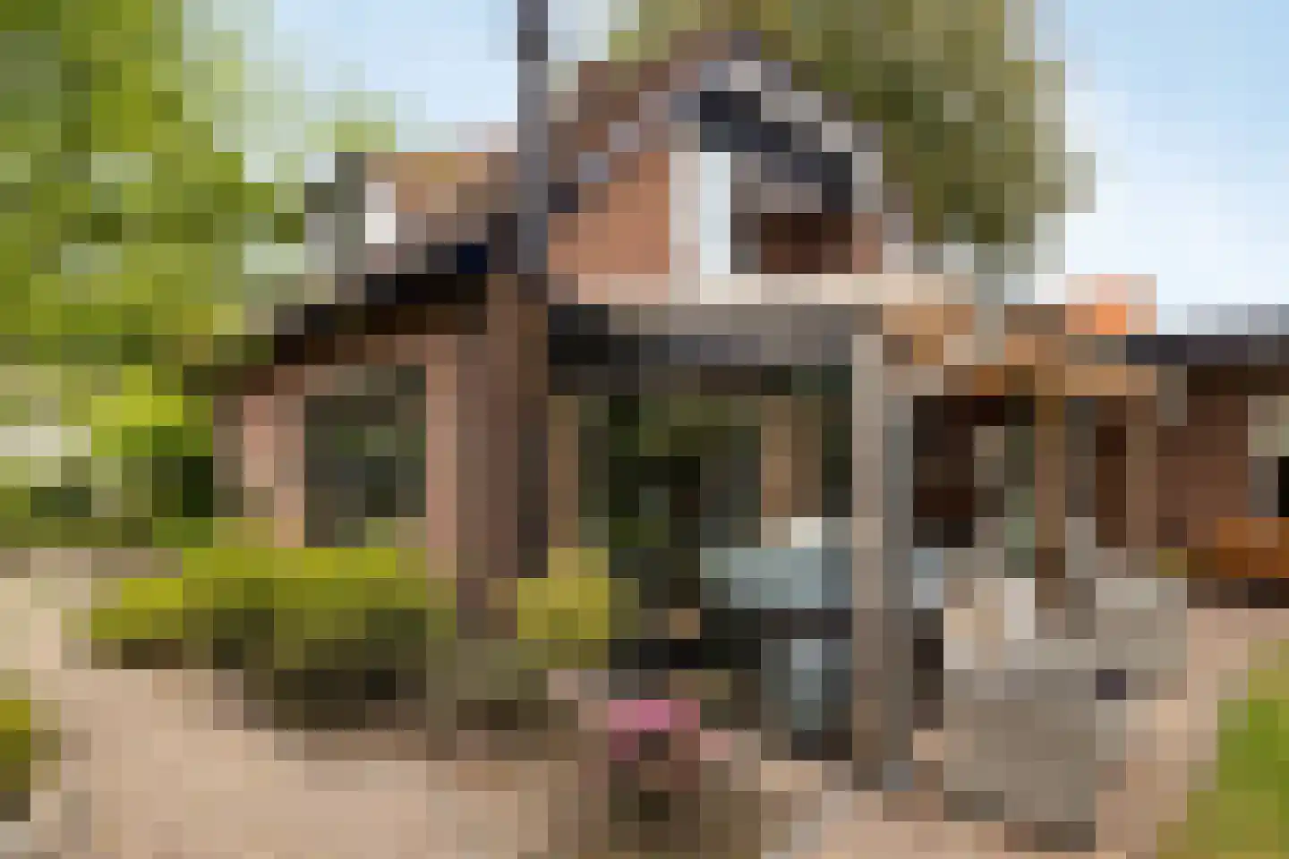 Nunspeterweg 100 Elspeet thumbnail 6