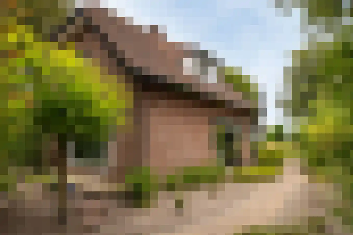 Nunspeterweg 100 Elspeet thumbnail 9
