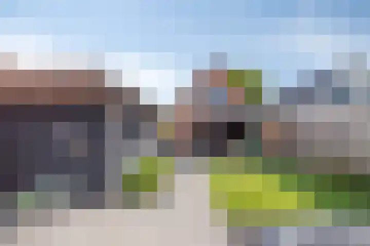 Nunspeterweg 31 Elspeet thumbnail 31
