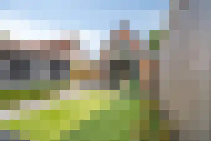 Nunspeterweg 31 Elspeet thumbnail 39