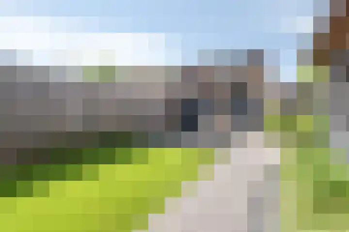 Nunspeterweg 31 Elspeet thumbnail 42