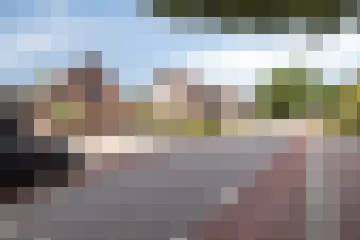 Nunspeterweg 31 Elspeet thumbnail 48
