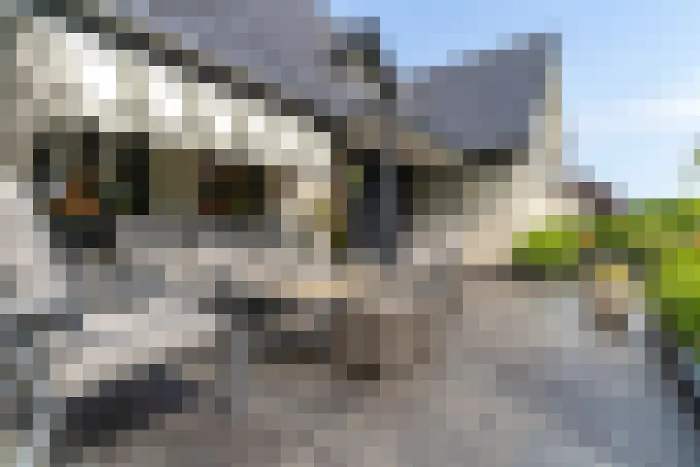 Nunspeterweg 36 Elburg thumbnail 78