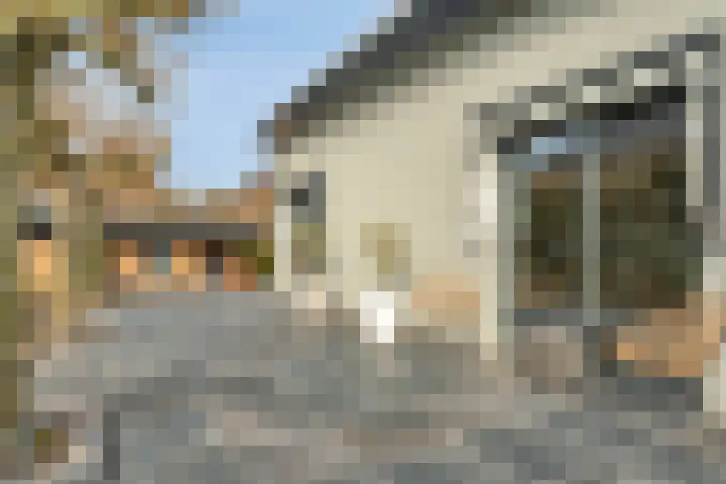 Nunspeterweg 36 Elburg thumbnail 81