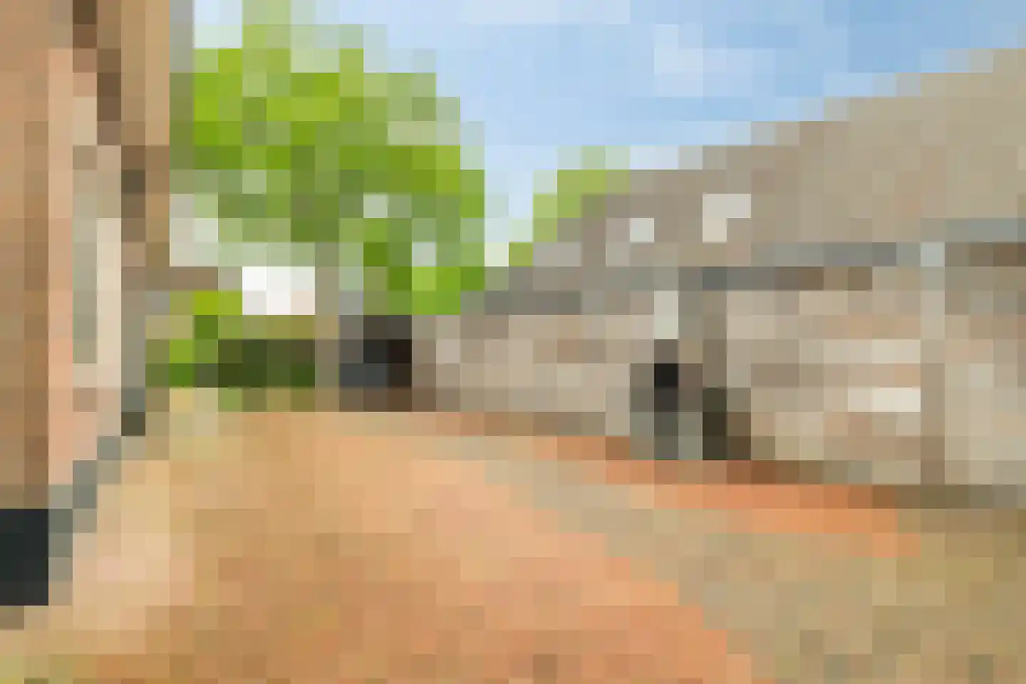 Nunspeterweg 46 Elspeet thumbnail 35