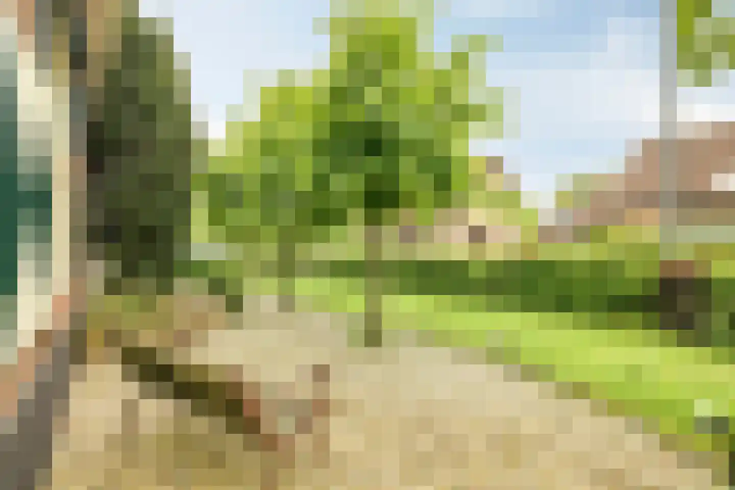 Nunspeterweg 46 Elspeet thumbnail 41