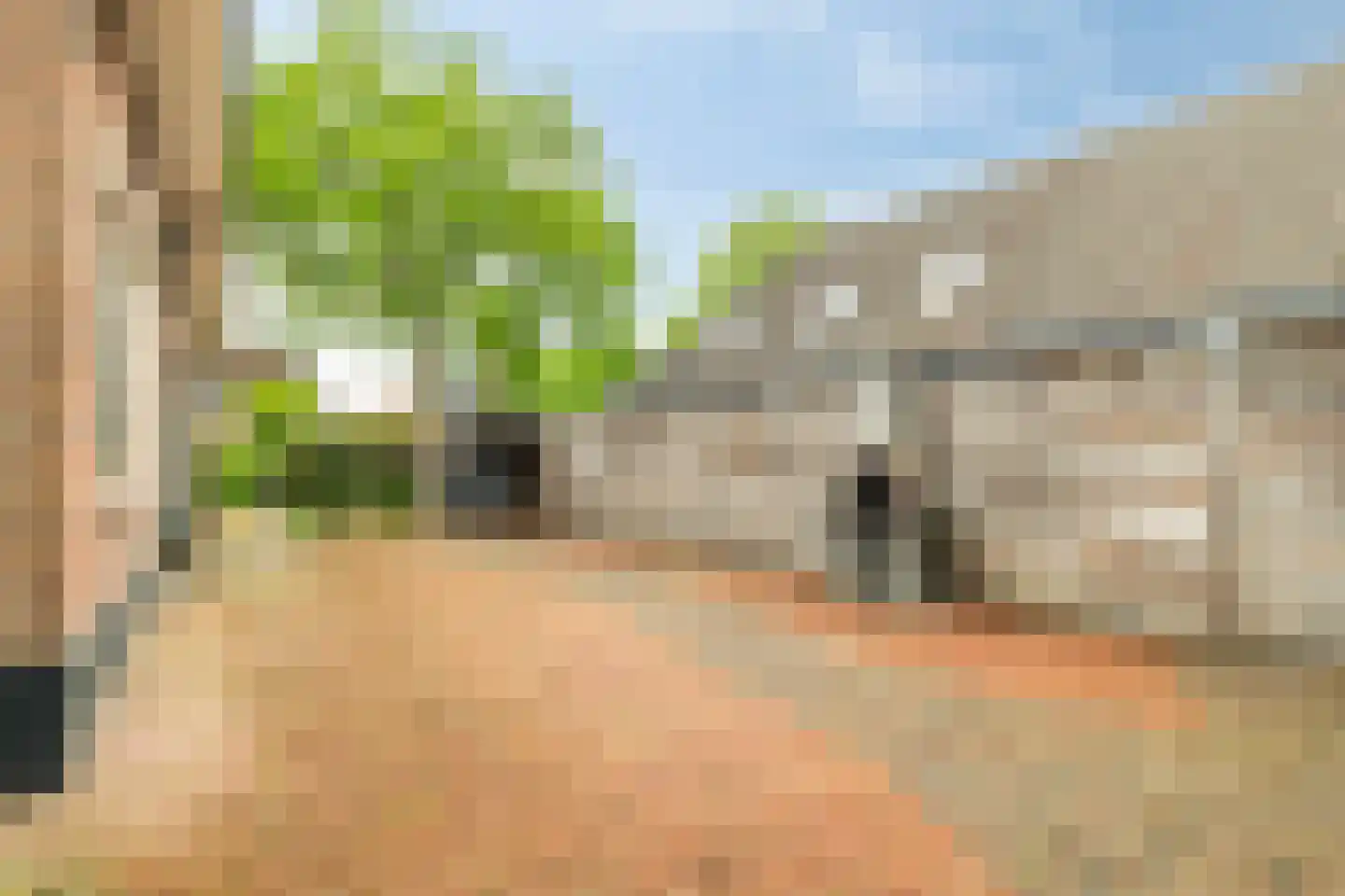 Nunspeterweg 46 Elspeet thumbnail 44