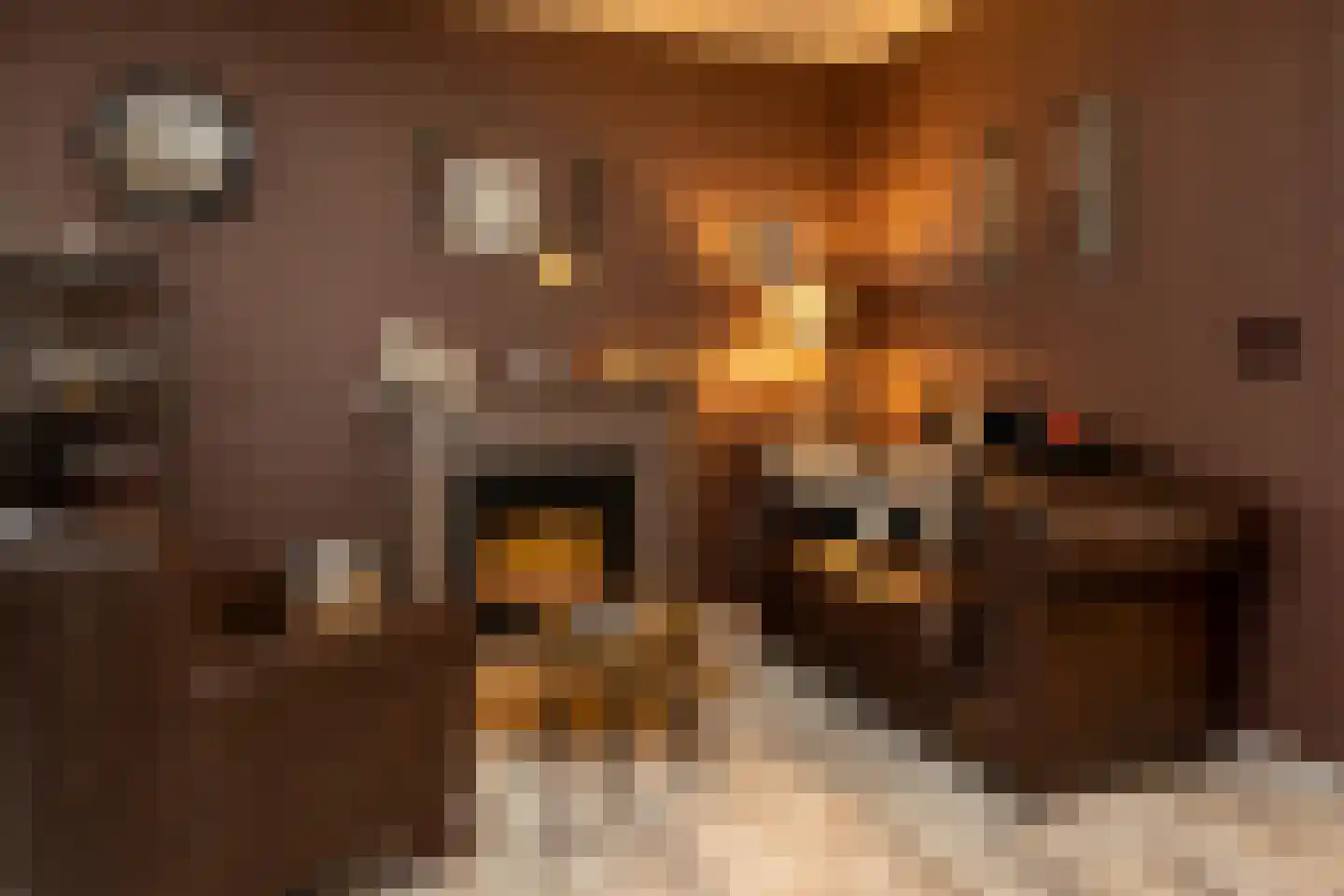 Nunspeterweg 7 Vierhouten thumbnail 12