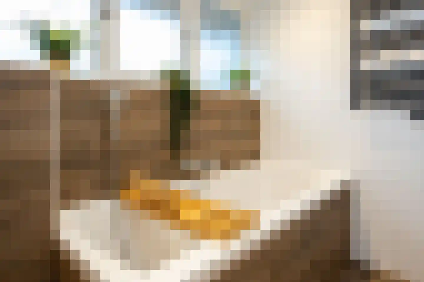 Nunspeterweg 7 Vierhouten thumbnail 29