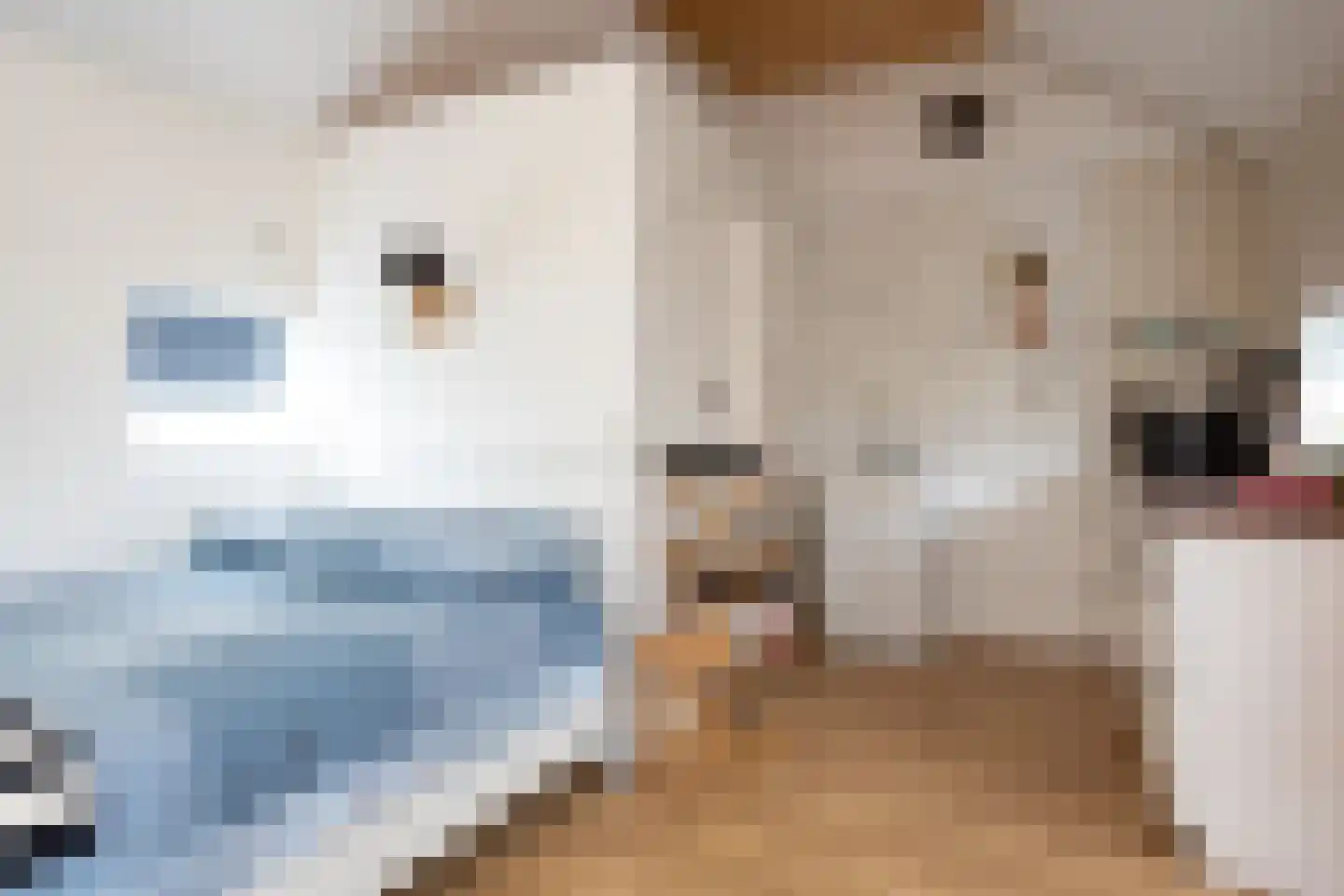 Nunspeterweg 7 Vierhouten thumbnail 34