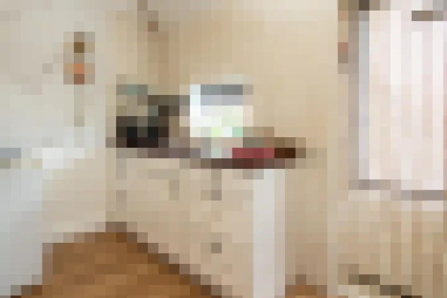 Nunspeterweg 7 Vierhouten thumbnail 35