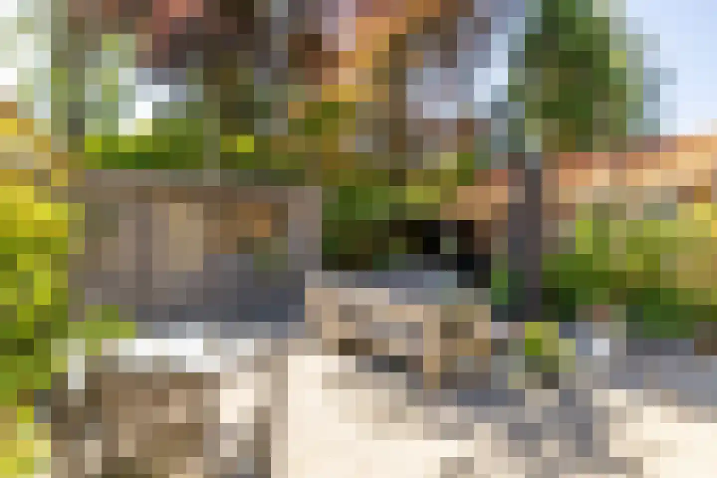 Nunspeterweg 7 Vierhouten thumbnail 4