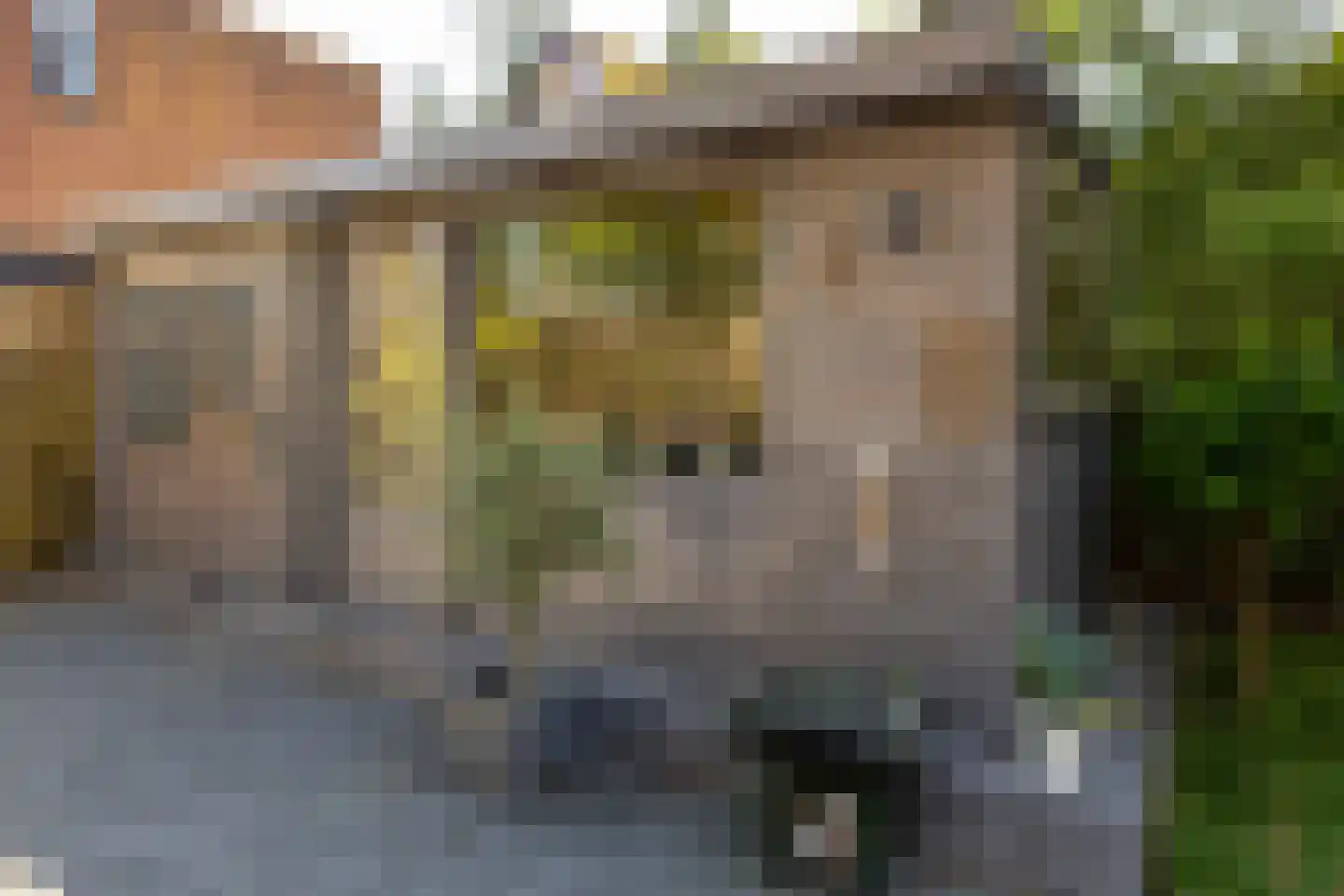Nunspeterweg 7 Vierhouten thumbnail 46