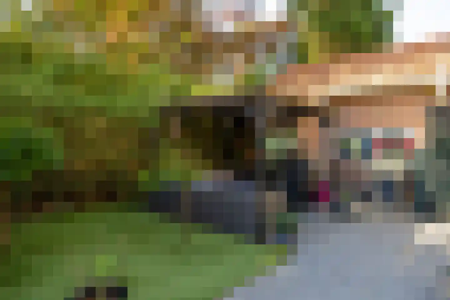 Nunspeterweg 7 Vierhouten thumbnail 47