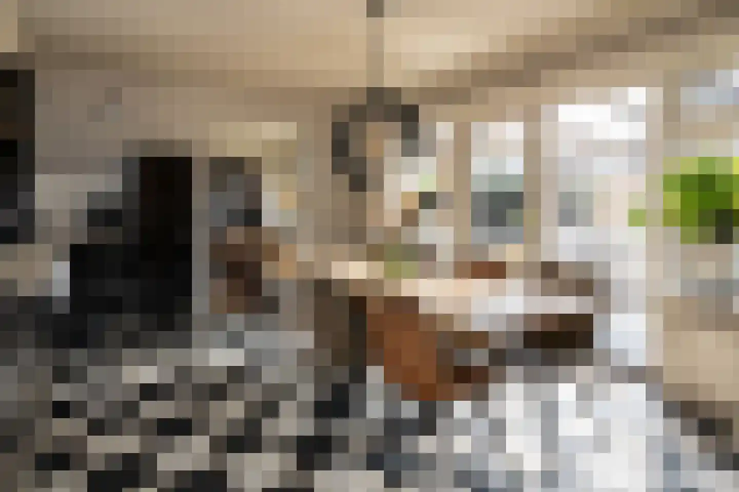 Nunspeterweg 81 Elspeet thumbnail 19