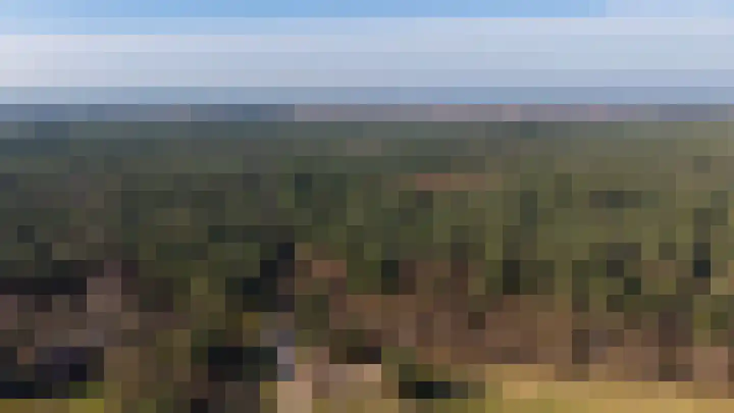 Nunspeterweg 81 Elspeet thumbnail 43