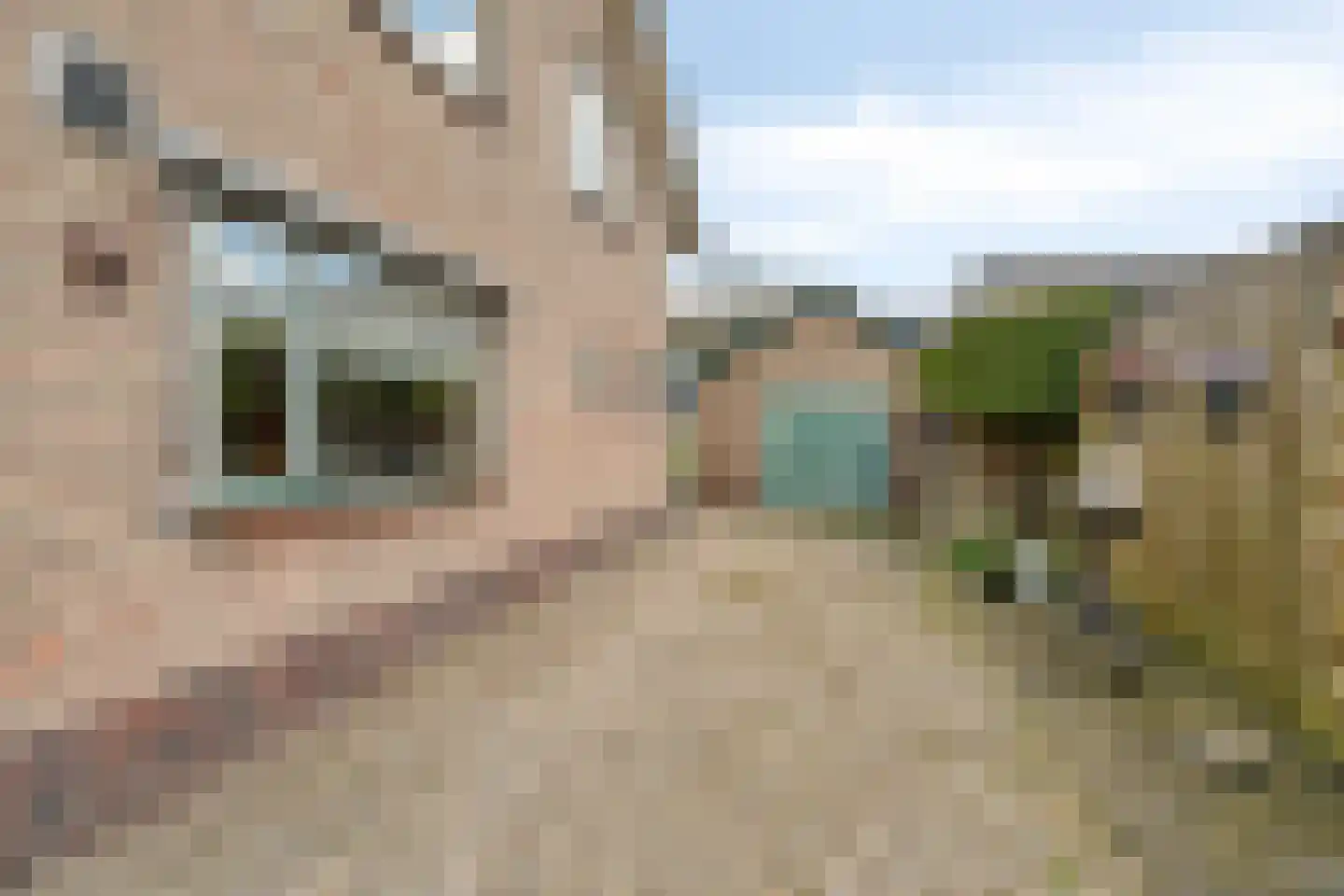 Nunspeterweg 84 Elspeet thumbnail 10