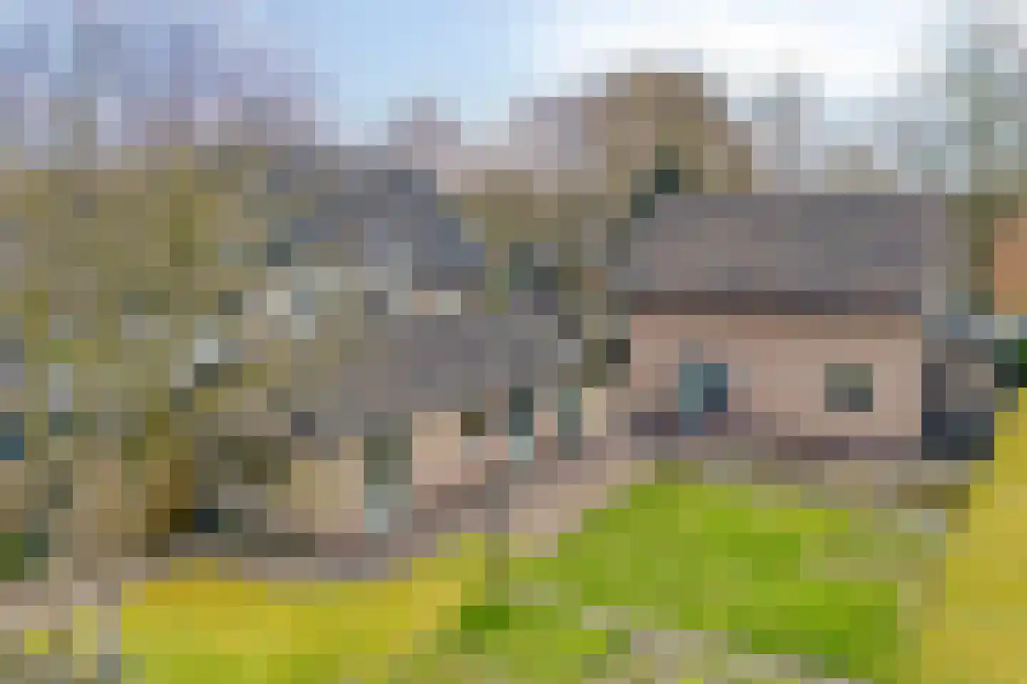 Nunspeterweg 84 Elspeet thumbnail 32