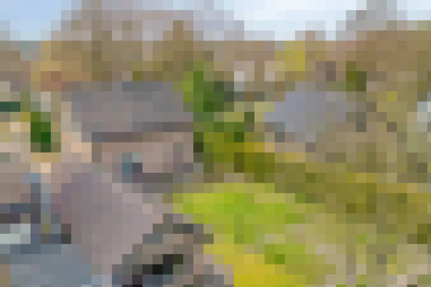 Nunspeterweg 84 Elspeet thumbnail 33
