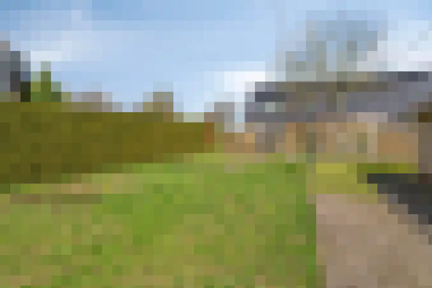 Nunspeterweg 84 Elspeet thumbnail 37