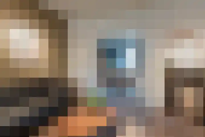 Nusseleinstraat 15 America thumbnail 11