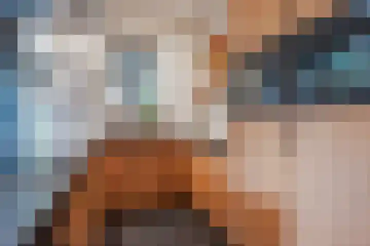 Nusseleinstraat 15 America thumbnail 20