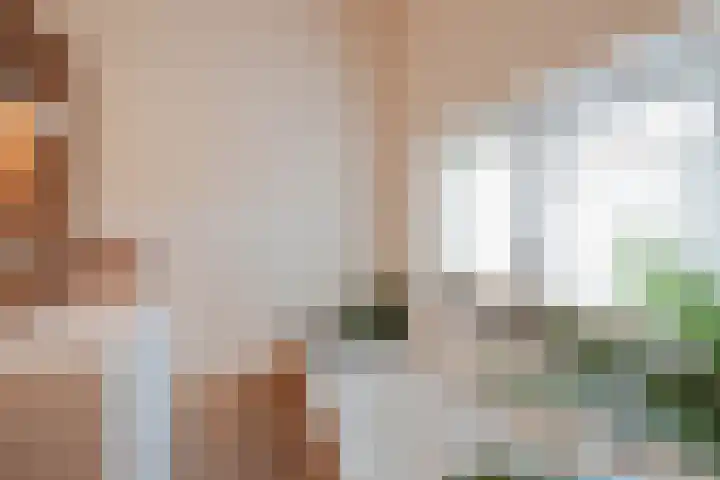 Nusseleinstraat 15 America thumbnail 34