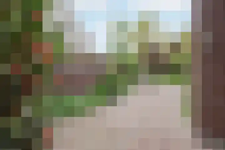 Nusseleinstraat 15 America thumbnail 36