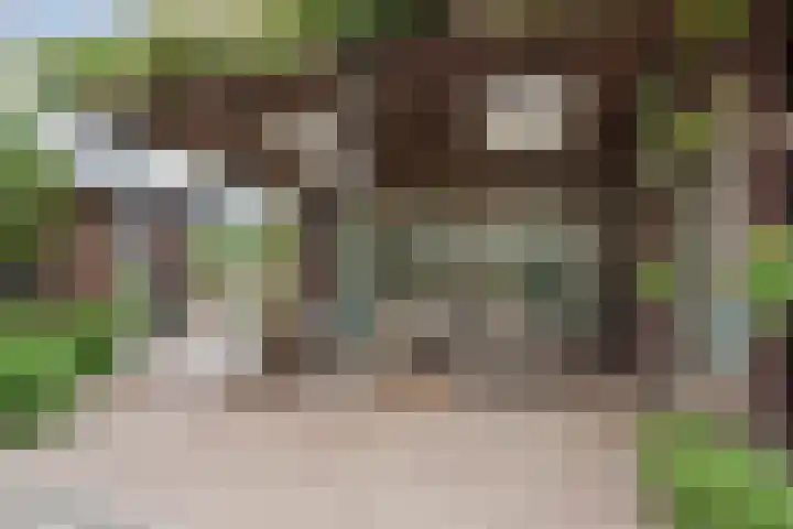 Nusseleinstraat 15 America thumbnail 39