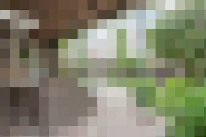 Nusseleinstraat 15 America thumbnail 40