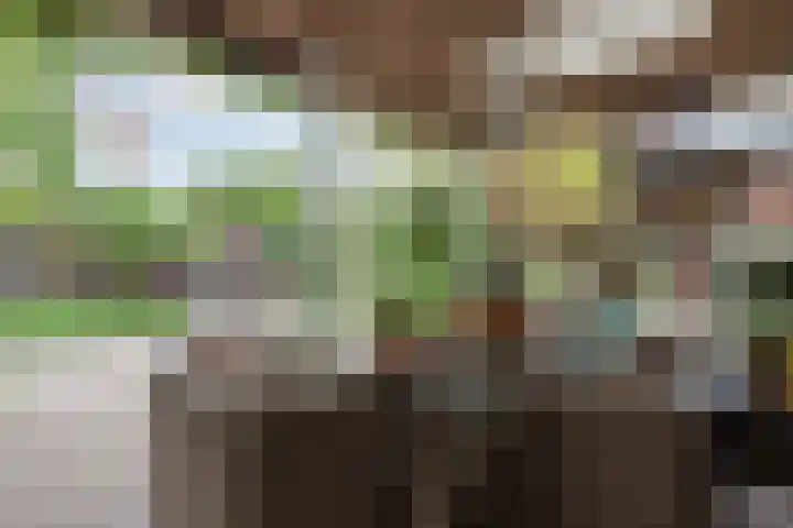 Nusseleinstraat 15 America thumbnail 41