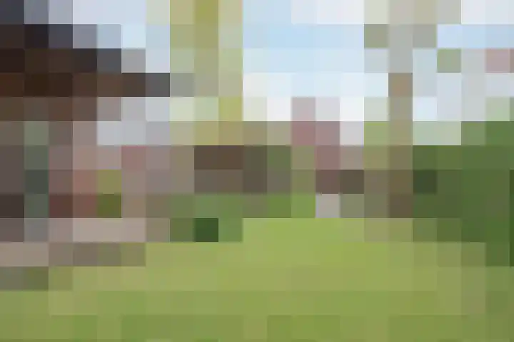 Nusseleinstraat 15 America thumbnail 42