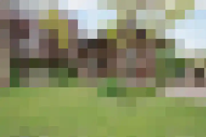 Nusseleinstraat 15 America thumbnail 44
