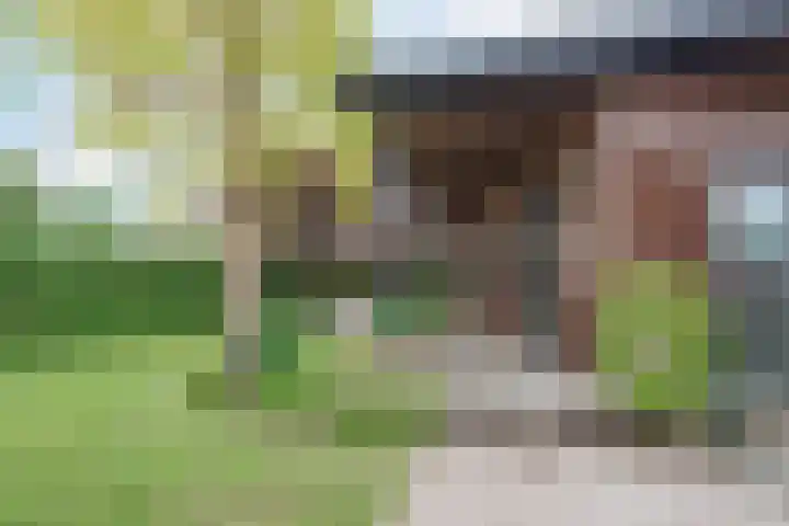 Nusseleinstraat 15 America thumbnail 45