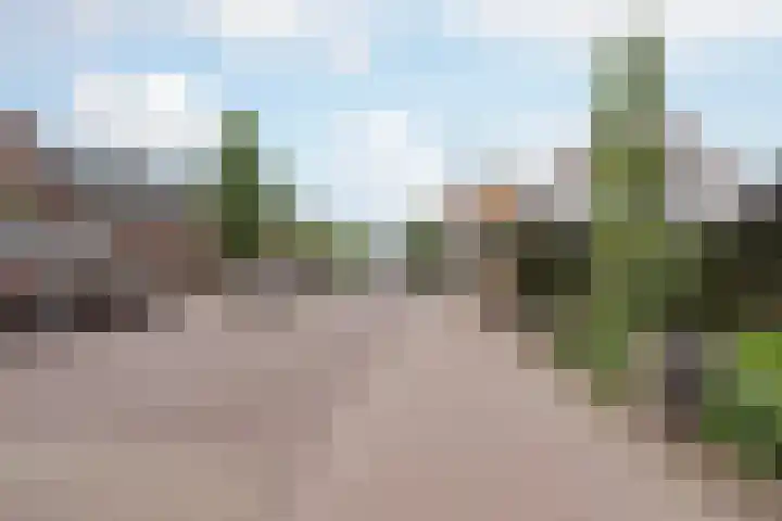 Nusseleinstraat 15 America thumbnail 53
