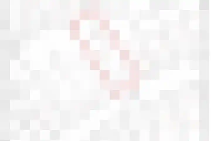 Nusseleinstraat 15 America thumbnail 57