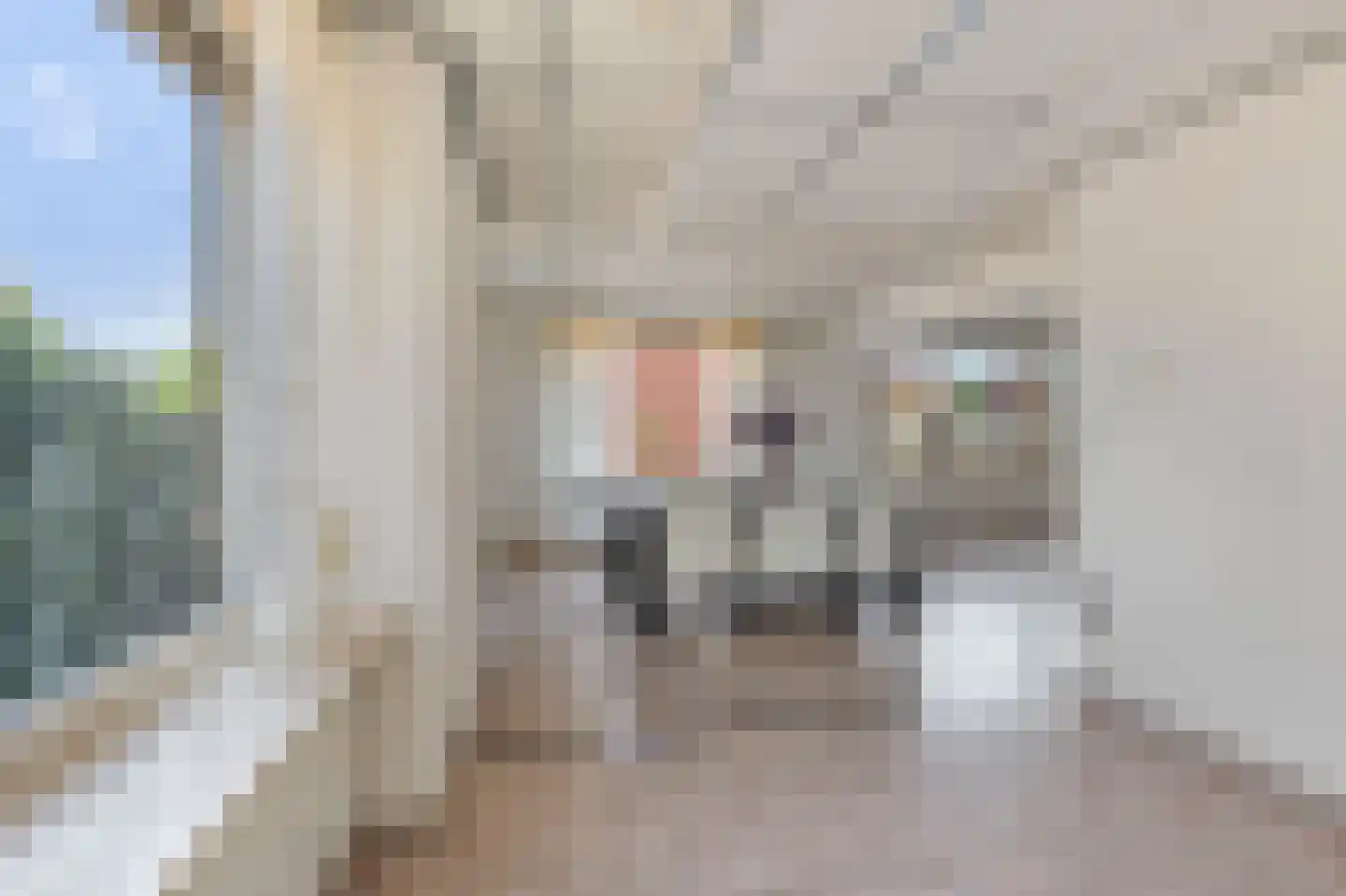 Nusseleinstraat 26 America thumbnail 18