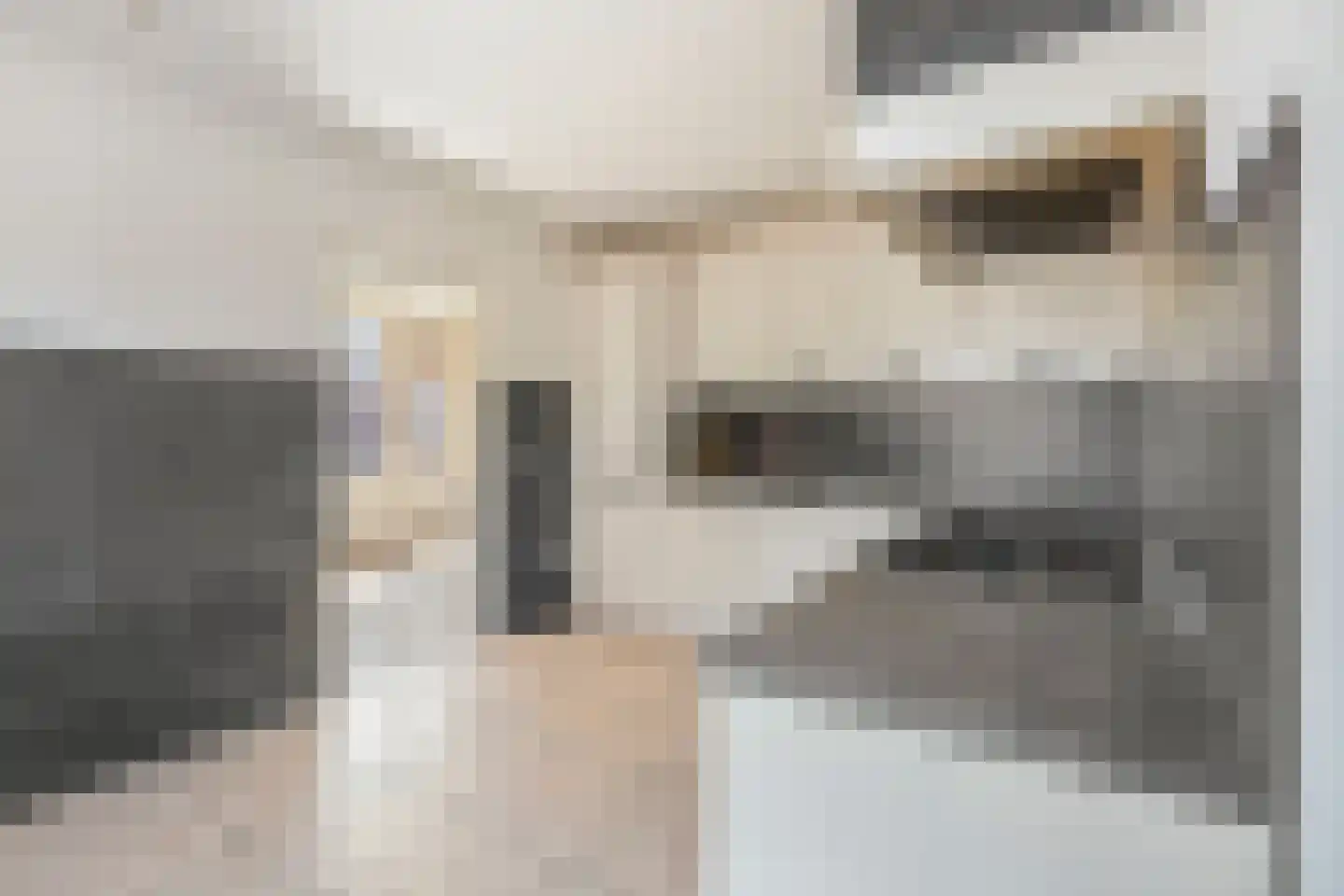 Nusseleinstraat 26 America thumbnail 20
