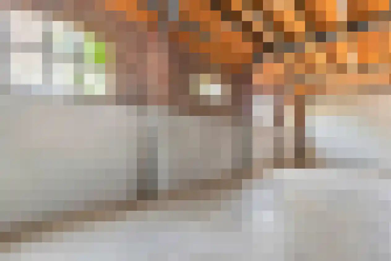 Nusseleinstraat 26 America thumbnail 27