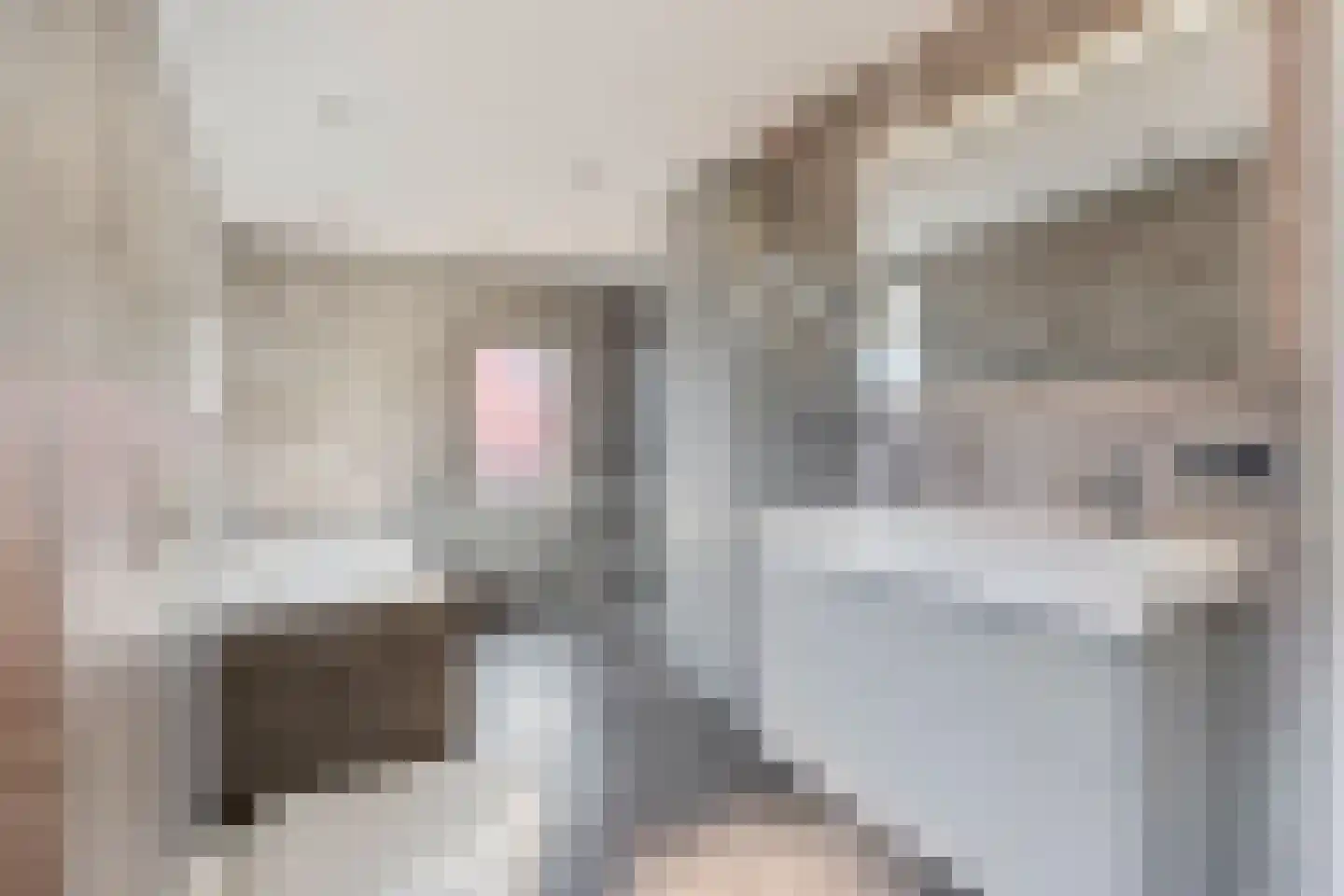 Nusseleinstraat 26 America thumbnail 37