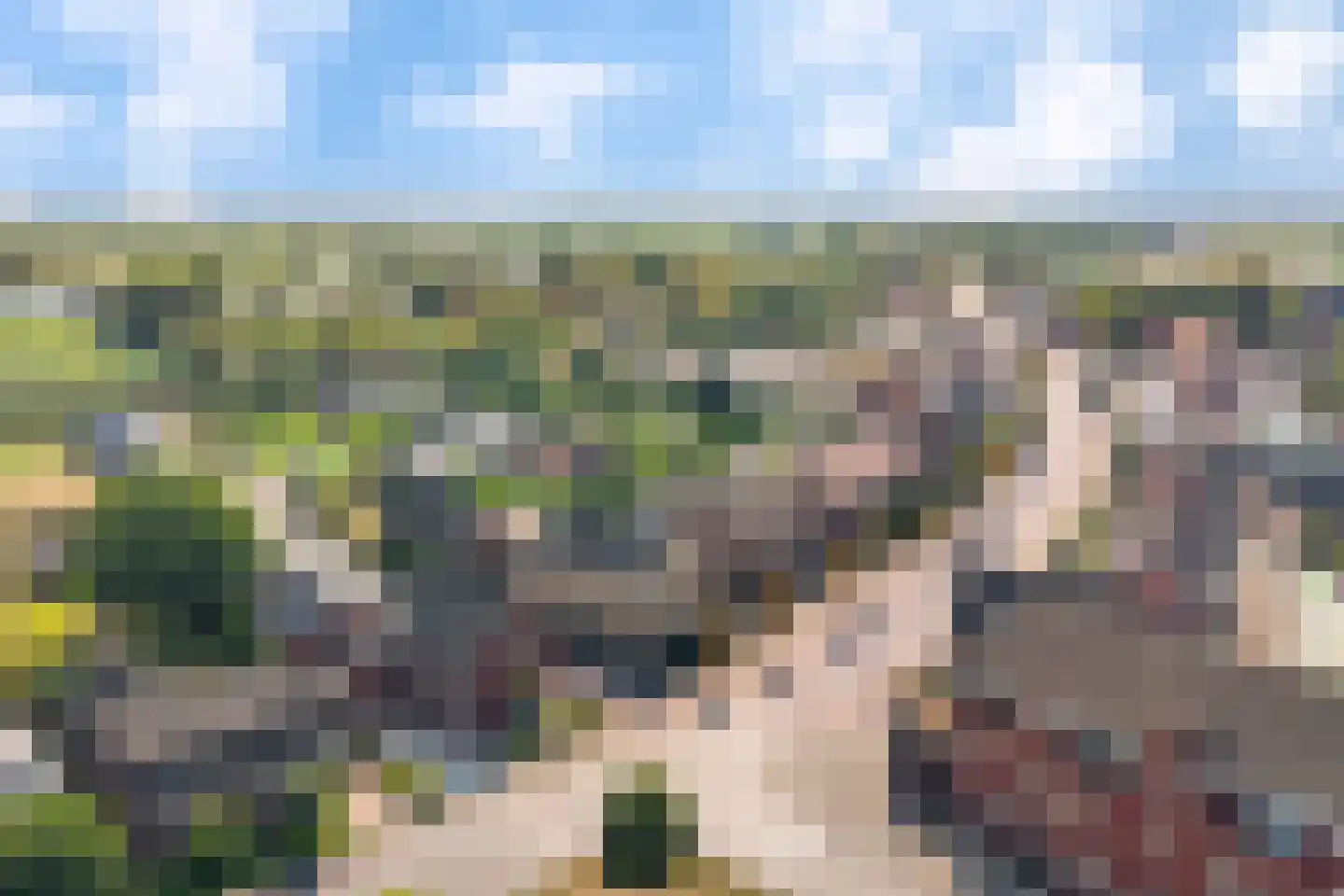 Nusseleinstraat 26 America thumbnail 5