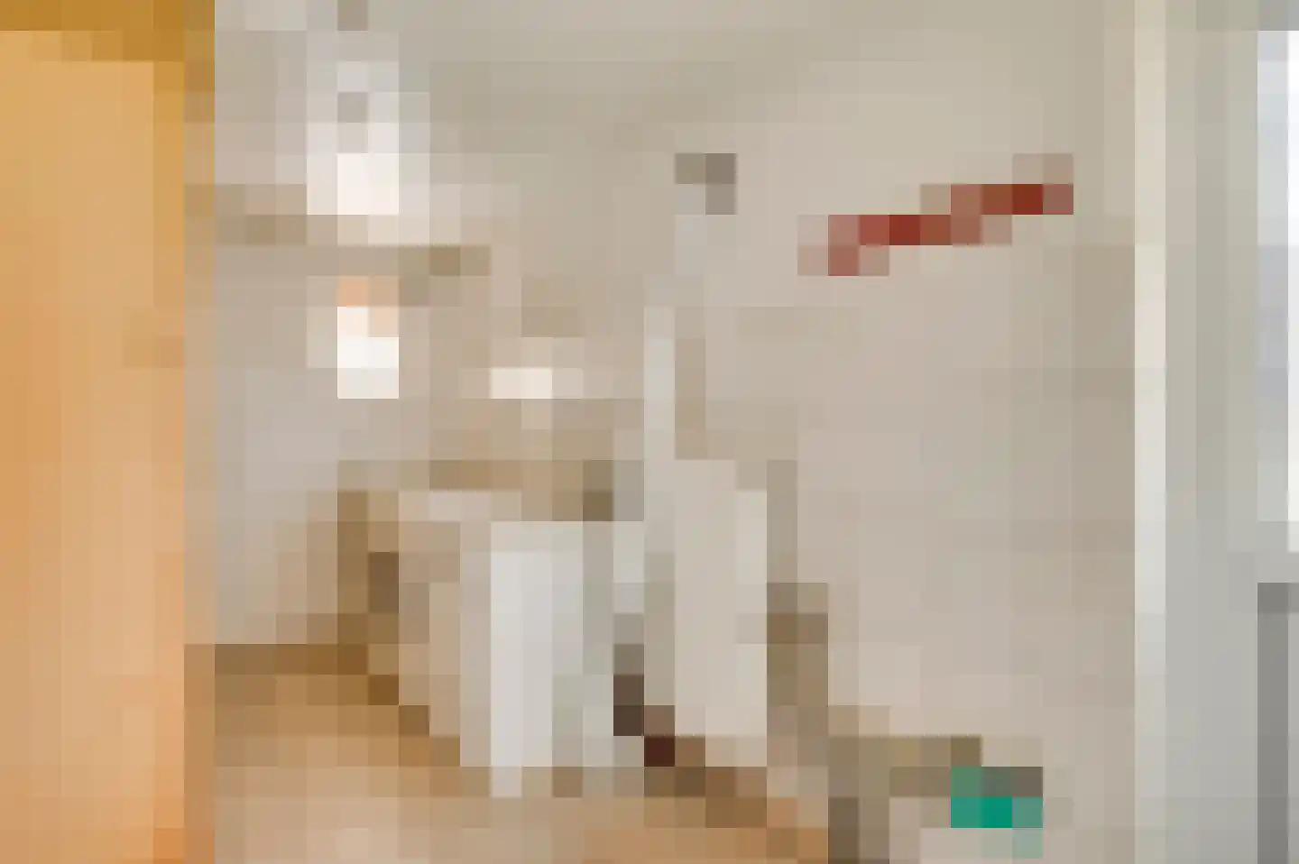 Nusseleinstraat 34 America thumbnail 20
