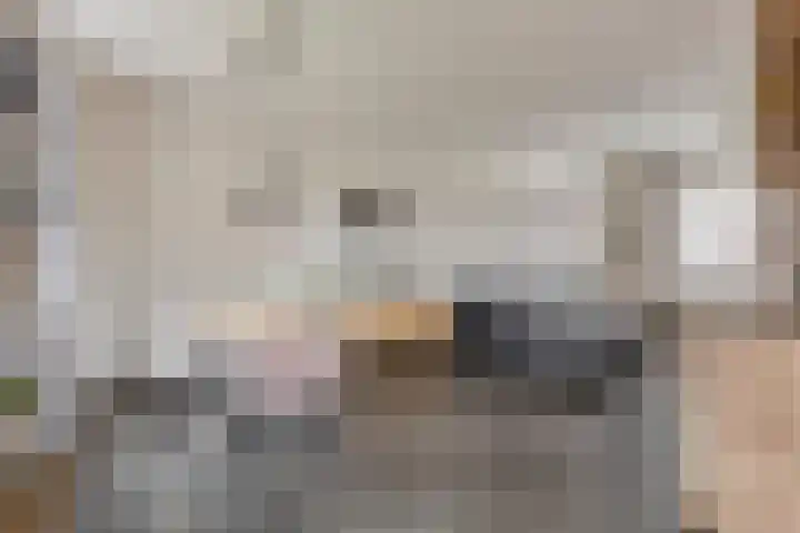 Nusseleinstraat 7 America thumbnail 10