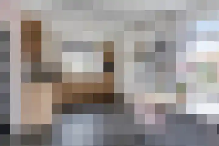 Nusseleinstraat 7 America thumbnail 13