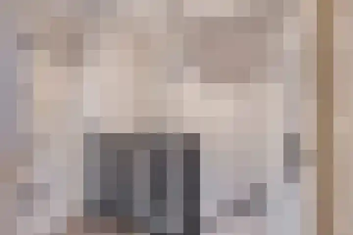 Nusseleinstraat 7 America thumbnail 18